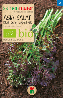 BIO Asia Salat Blattsenf Purple Frills - Brassica juncea var. rugosa