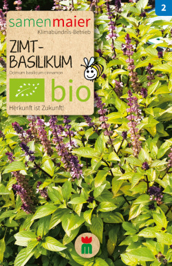 BIO Zimtbasilikum - Ocimum basilicum cinnamon