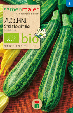 Zucchini-Striato-dItalia