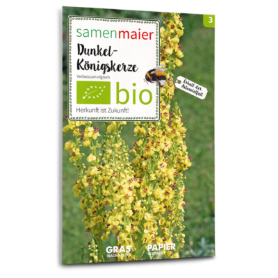 BIO Wildblumen - Dunkel-Königskerze