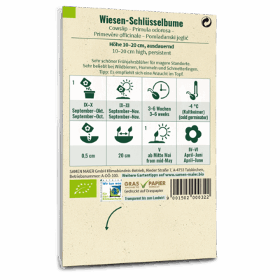 BIO Wildblumen - Wiesen-Schlüsselblume