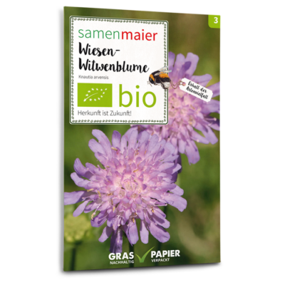 BIO Wildblumen - Wiesen-Witwenblume