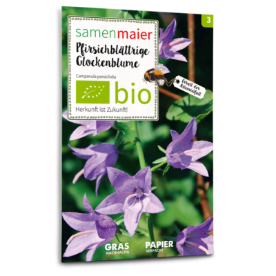 BIO Wildblumen - Pfirsichblättrige Glockenblume