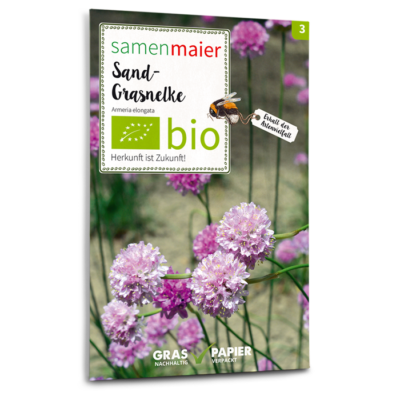 BIO Wildblumen - Sand-Grasnelke