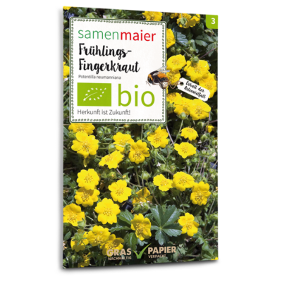 BIO Wildblumen - Frühlings-Fingerkraut