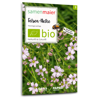 BIO Wildblumen - Felsen-Nelke