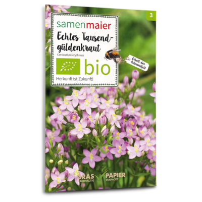 BIO Wildblumen – Echtes Tausendgüldenkraut