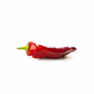Bio-Paprika „Rotes Stierhorn“