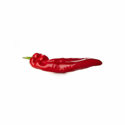 Bio-Paprika „Rotes Stierhorn“