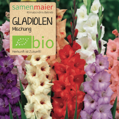 Bio Gladiolen Mischung 1