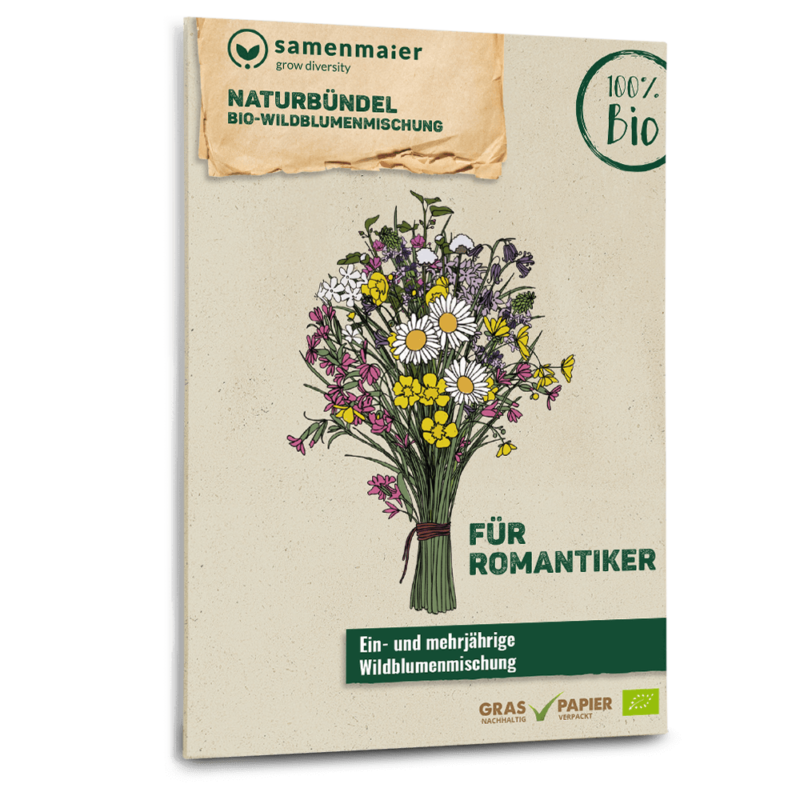 Bio Naturbündel Wildblumen Saatgut für Romantiker von Samen Maier