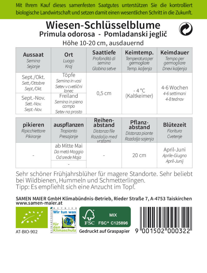 BIO Wildblumen - Wiesen-Schlüsselblume – Bild 2