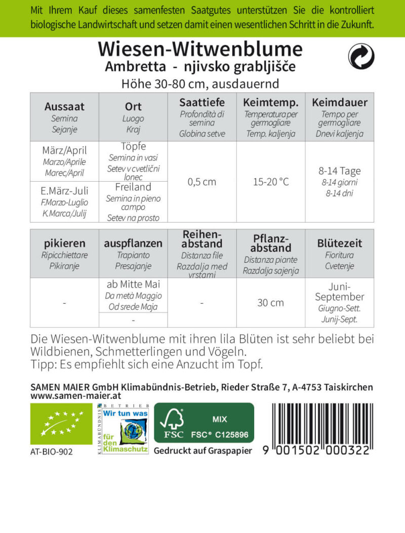 BIO Wildblumen - Wiesen-Witwenblume – Bild 2