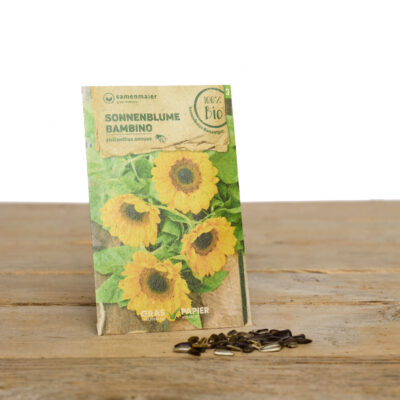Bio Saatgut Sonnenblume Bambino von Samen Maier
