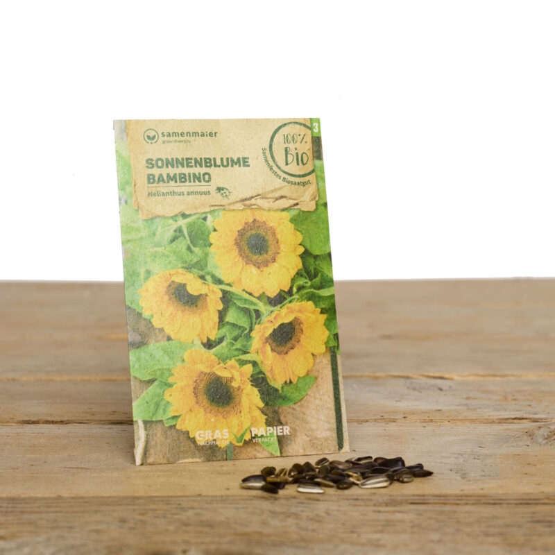 Bio Saatgut Sonnenblume Bambino von Samen Maier