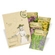 Bio Wildblumen Set "Stay Wild" von Samen Maier