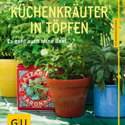Kuechenkräuter in Töpfen