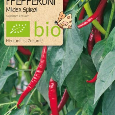Beet-Box "Frohe Weihnachten"