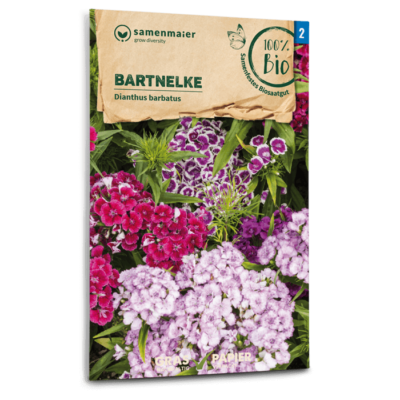 BIO Bartnelke