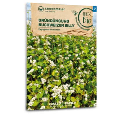 BIO Gründüngung Buchweizen Billy