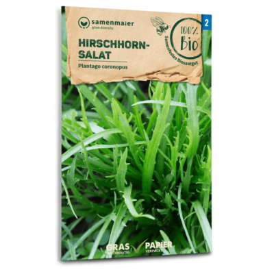BIO Hirschhornsalat