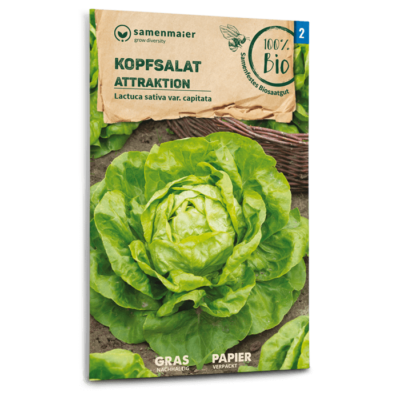 BIO Kopfsalat Attraktion