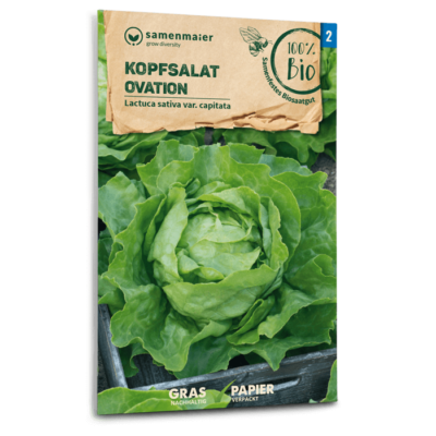 BIO Kopfsalat Ovation