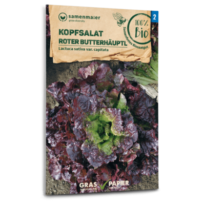BIO Kopfsalat Roter Butterhäuptl