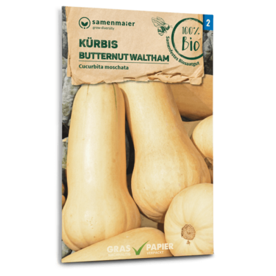 BIO Kürbis Butternut Waltham