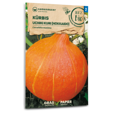 BIO Kürbis Uchiki Kuri (Hokkaido)