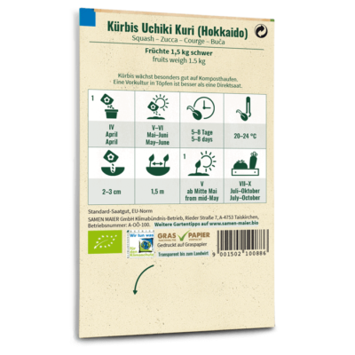 BIO Kürbis Uchiki Kuri (Hokkaido)