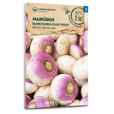 BIO Mairüben Blanc globe à collet violet