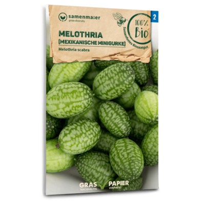 BIO Melothria (Mexikanische Minigurke)