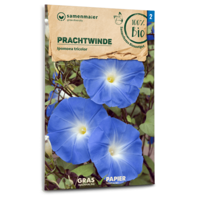 BIO Prachtwinde