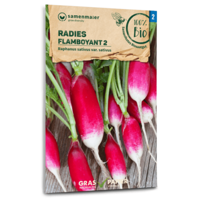 BIO Radieschen Flamboyant 2