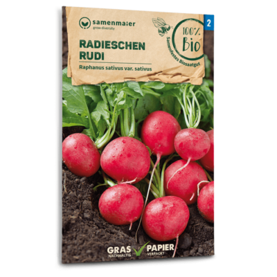 BIO Radieschen Rudi