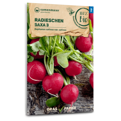 BIO Radieschen Saxa 3