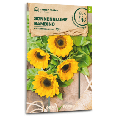 BIO Sonnenblume Bambino