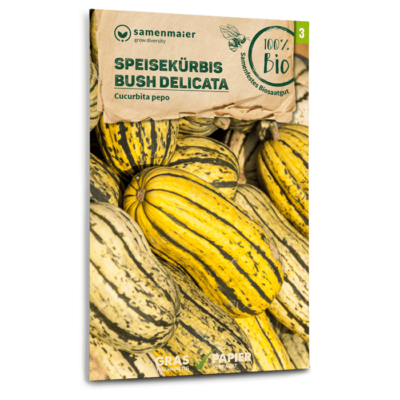 BIO Speisekürbis Bush Delicata