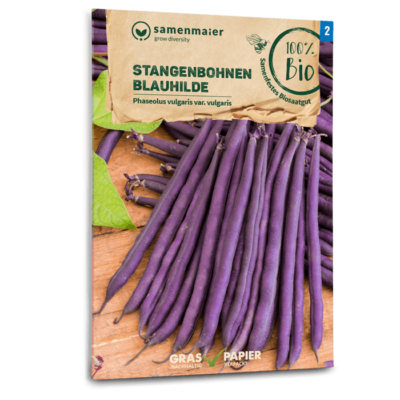 BIO Stangenbohnen Blauhilde