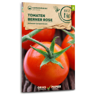 BIO Tomaten Berner Rose