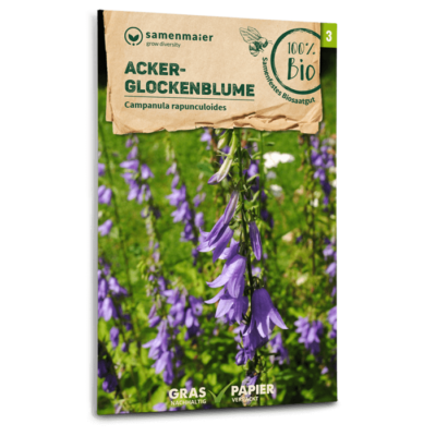 BIO Wildblumen - Acker-Glockenblume