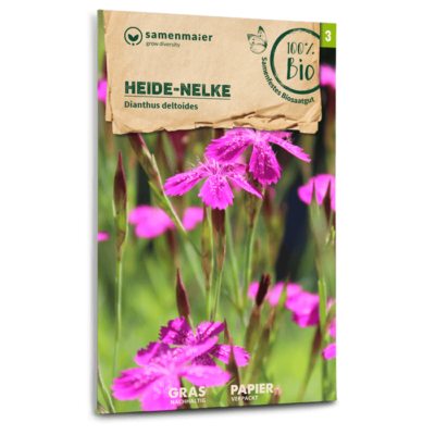 BIO Wildblumen - Heide-Nelke