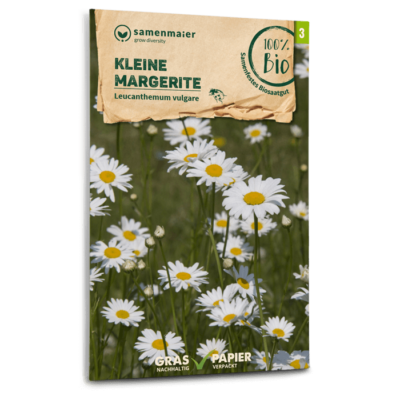 BIO Wildblumen - Kleine Margerite