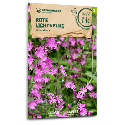 BIO Wildblumen - Rote Lichtnelke