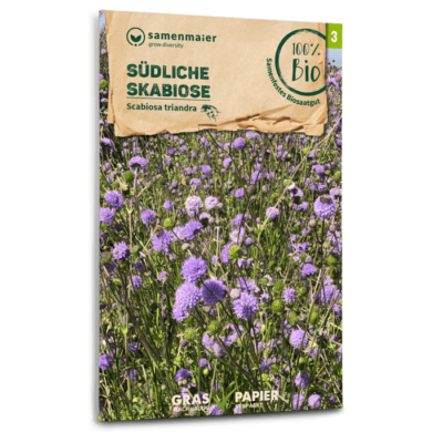 BIO Wildblumen - Südliche Skabiose