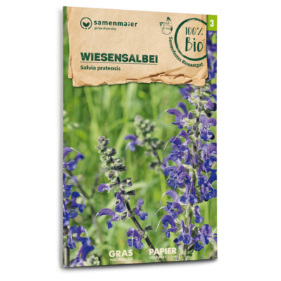 BIO Wildblumen - Wiesensalbei