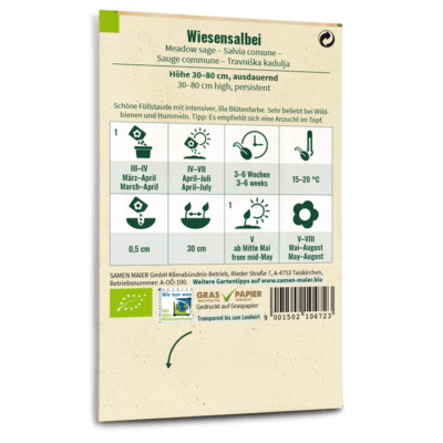 BIO Wildblumen - Wiesensalbei