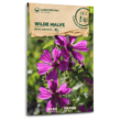 BIO Wildblumen - Wiesensalbei