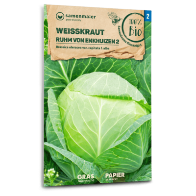 BIO Weißkraut Ruhm von Enkhuizen 2